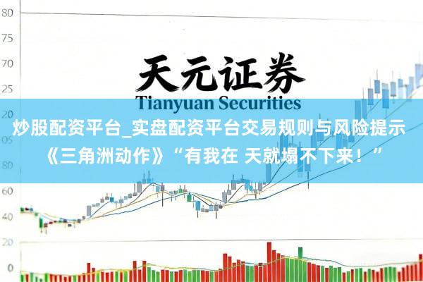 炒股配资平台_实盘配资平台交易规则与风险提示 《三角洲动作》“有我在 天就塌不下来！”