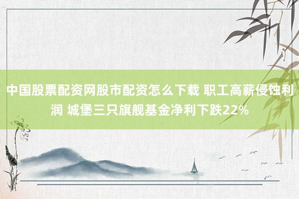 中国股票配资网股市配资怎么下载 职工高薪侵蚀利润 城堡三只旗舰基金净利下跌22%