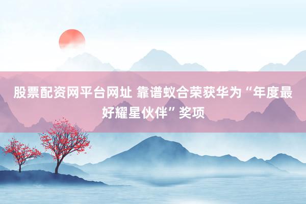 股票配资网平台网址 靠谱蚁合荣获华为“年度最好耀星伙伴”奖项