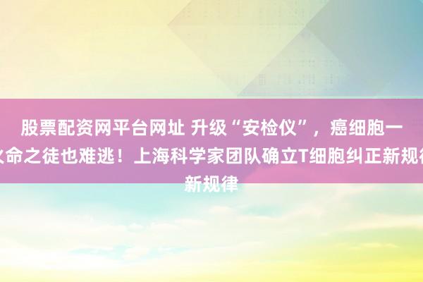 股票配资网平台网址 升级“安检仪”，癌细胞一火命之徒也难逃！上海科学家团队确立T细胞纠正新规律