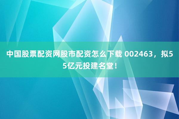 中国股票配资网股市配资怎么下载 002463，拟55亿元投建名堂！