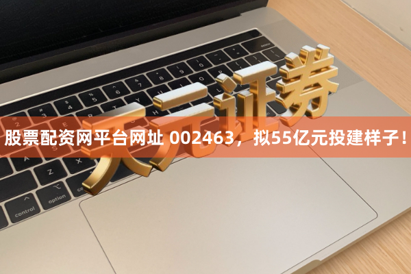 股票配资网平台网址 002463，拟55亿元投建样子！