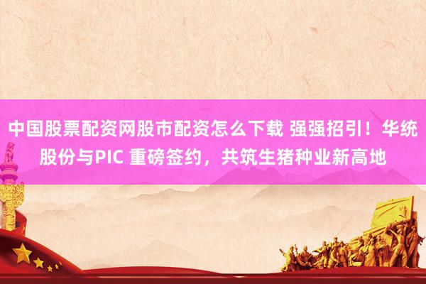 中国股票配资网股市配资怎么下载 强强招引！华统股份与PIC 重磅签约，共筑生猪种业新高地