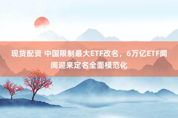 现货配资 中国限制最大ETF改名，6万亿ETF阛阓迎来定名全面模范化