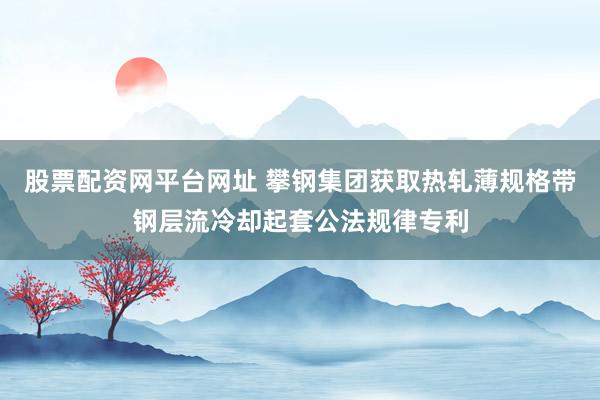 股票配资网平台网址 攀钢集团获取热轧薄规格带钢层流冷却起套公法规律专利